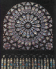 La fantasmagorica vetrata della cattedrale di Notre-Dame a Parigi