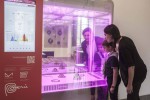 Museo della Scienza e della Tecnica Milano, Expo 2015 - Serra intelligente MEG